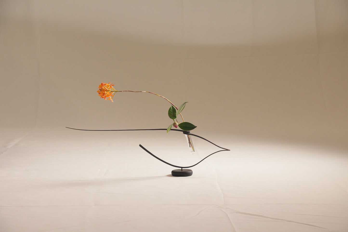 Single Flower Vases・花器 一輪刺し タイトル アラジン