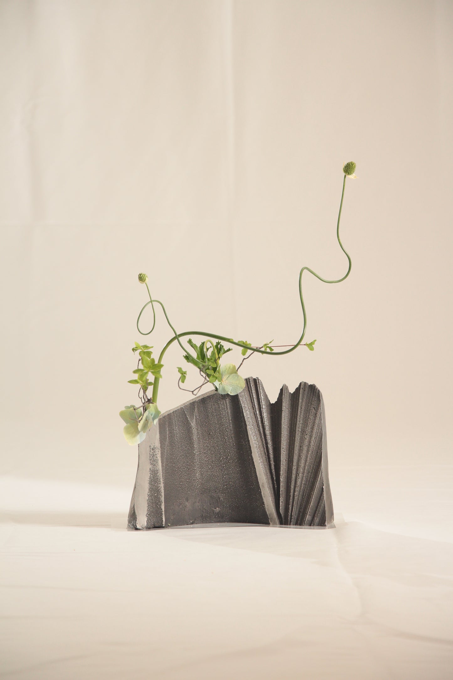 Flower Vases・花器 タイトル 壁