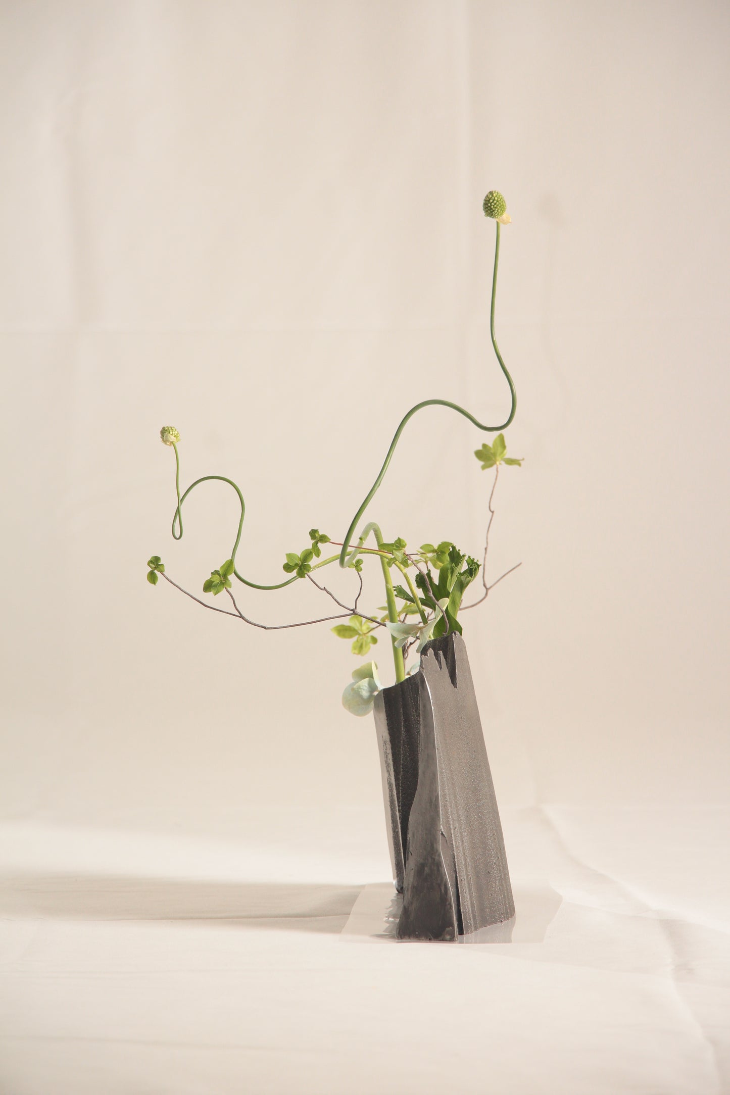 Flower Vases・花器 タイトル 壁